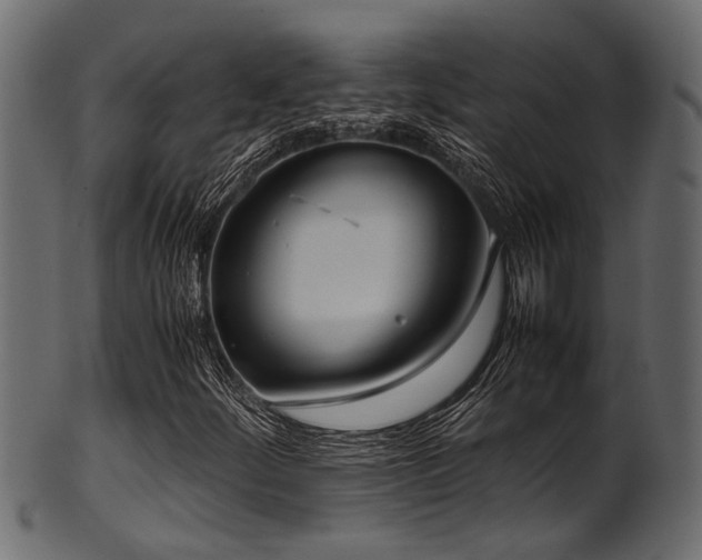 X0000102031252200807181342