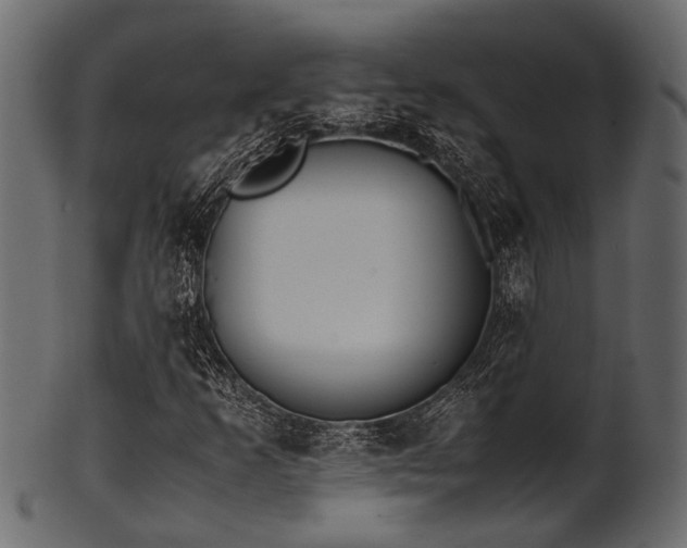 X0000102031253200807181341