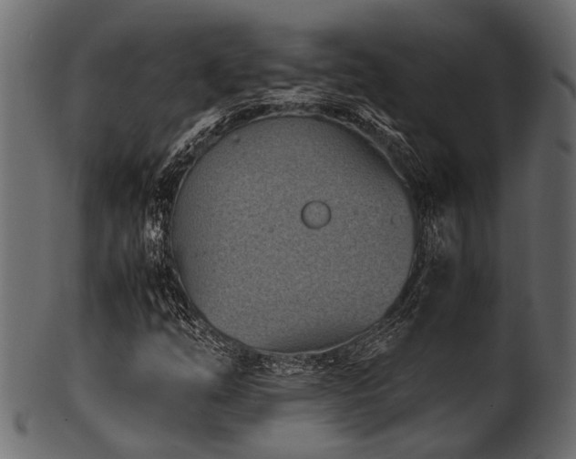 X0000102031254200807181341