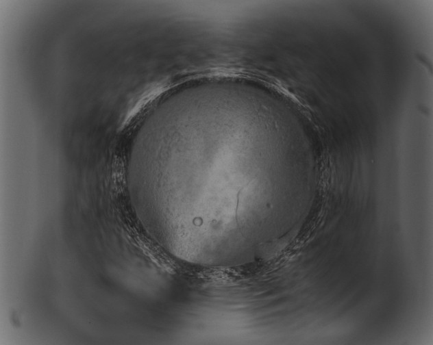 X0000102031255200807181341