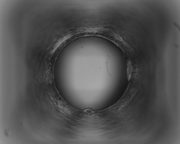 X0000102031256200807181341