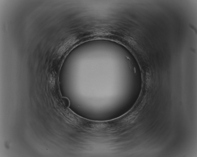 X0000102031257200807181341