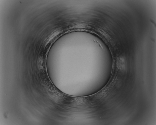 X0000102031258200807181341