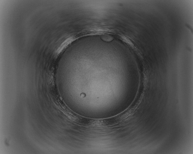 X0000102031259200807181341