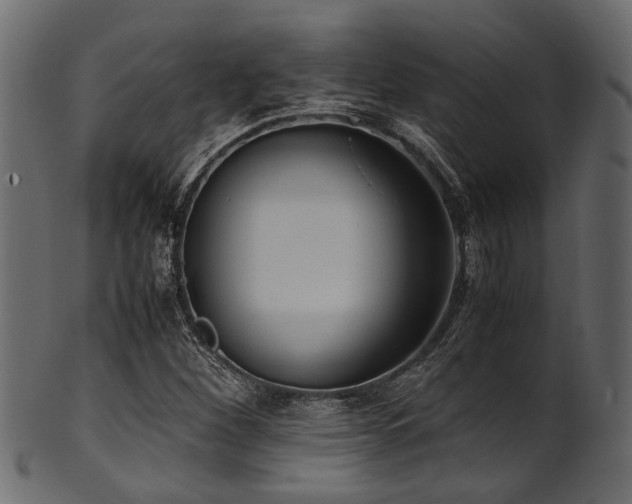 X0000102031260200807181341