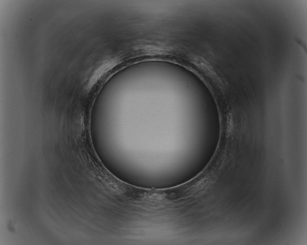 X0000102031261200807181341