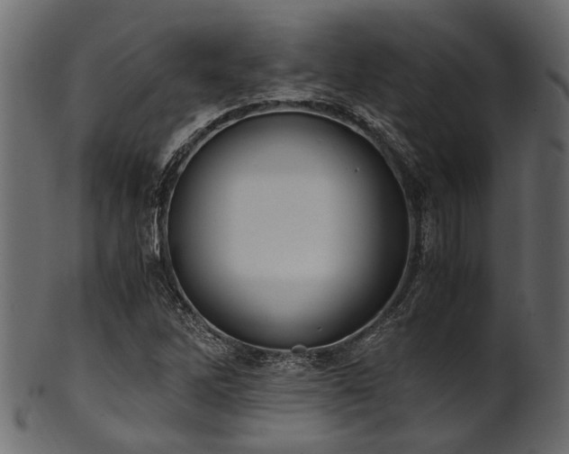 X0000102031262200807181341