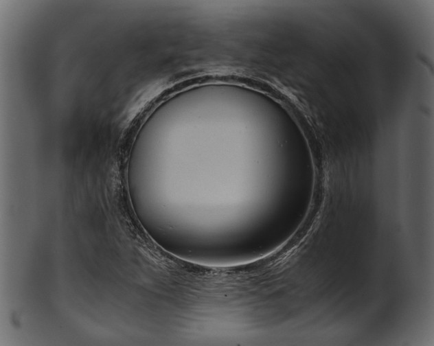 X0000102031263200807181341