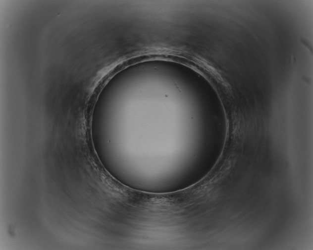 X0000102031264200807181341