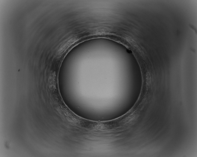 X0000102031265200807181341