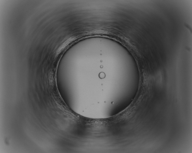 X0000102031266200807181341