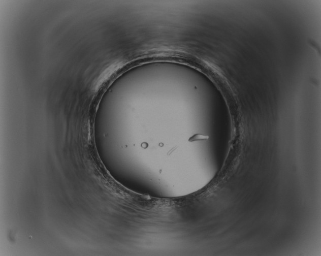 X0000102031267200807181341