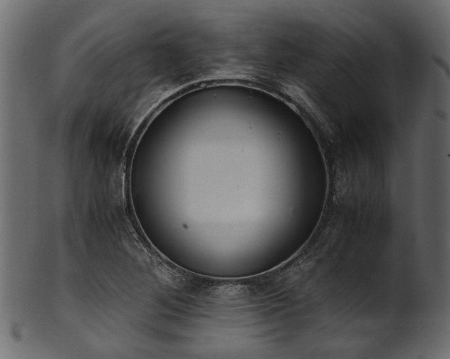 X0000102031268200807181341