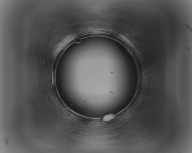 X0000102031269200807181341