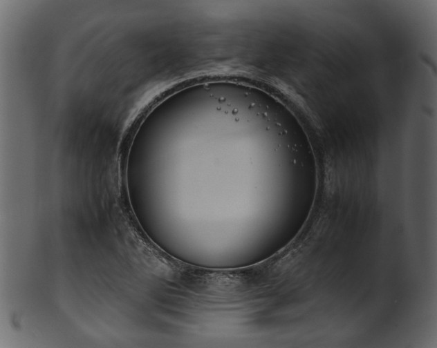 X0000102031270200807181341