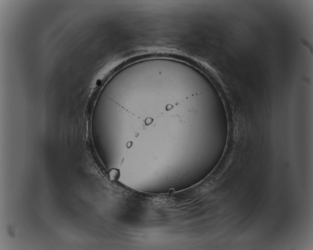 X0000102031271200807181341