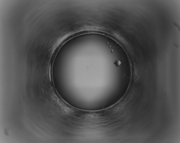 X0000102031272200807181341