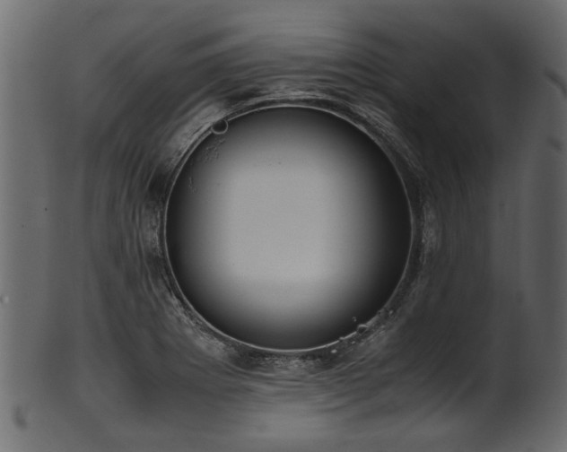 X0000102031273200807181341