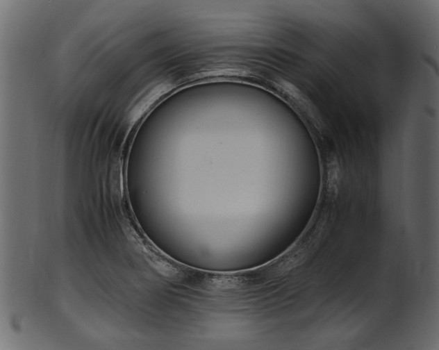 X0000102031274200807181341