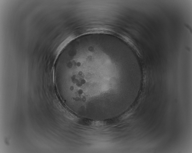 X0000102031275200807181341