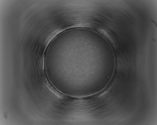 X0000102031276200807181341