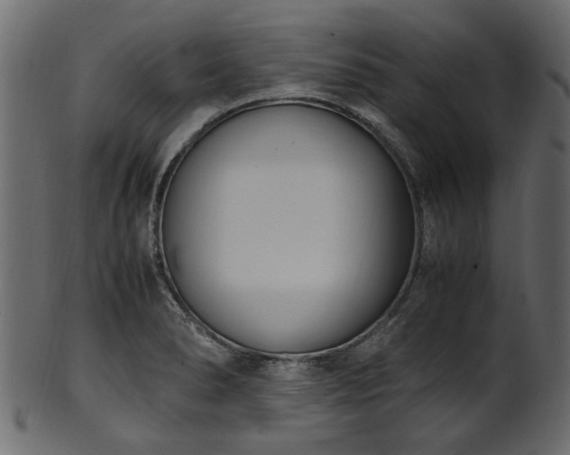 X0000102031278200807181341