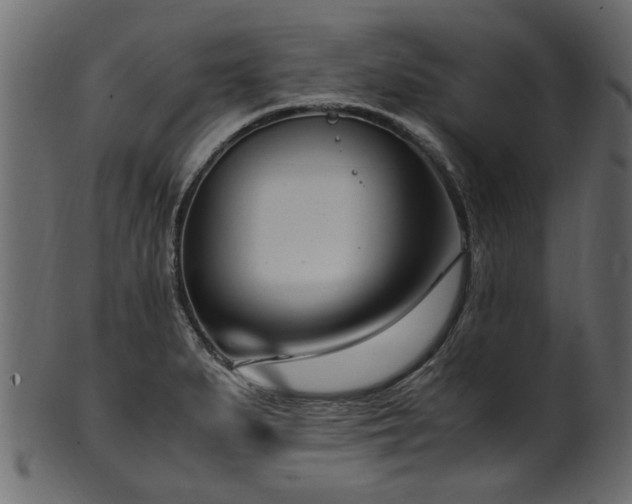 X0000102031279200807181341