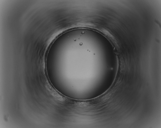 X0000102031280200807181341