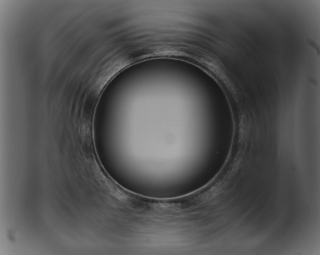 X0000102031281200807181341