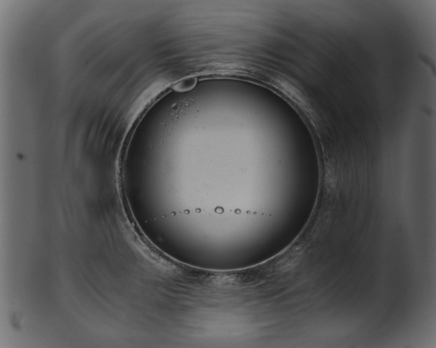 X0000102031283200807181341