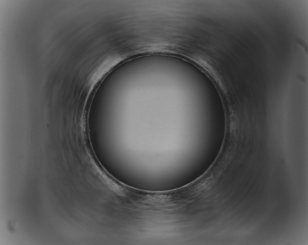 X0000102031285200807181341