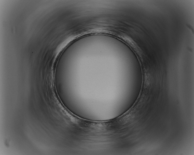 X0000102031286200807181341