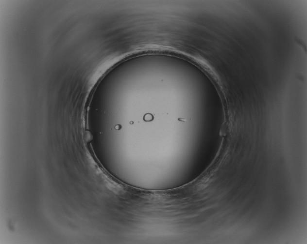 X0000102031287200807181341