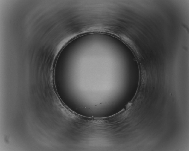 X0000102031288200807181341