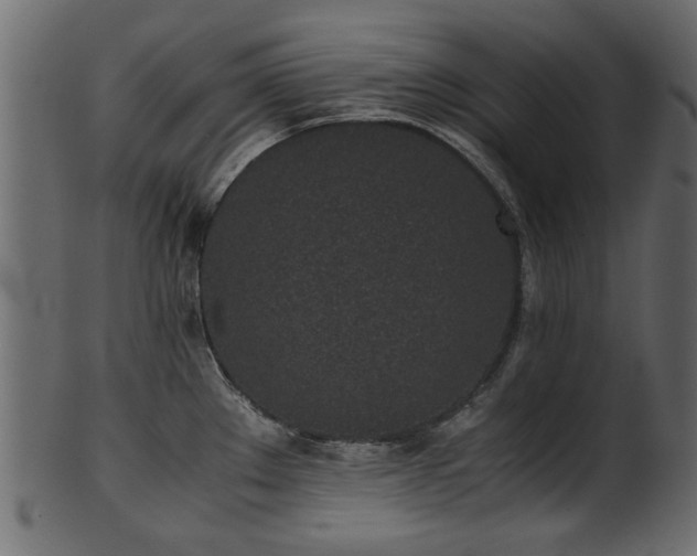 X0000102031289200807181341