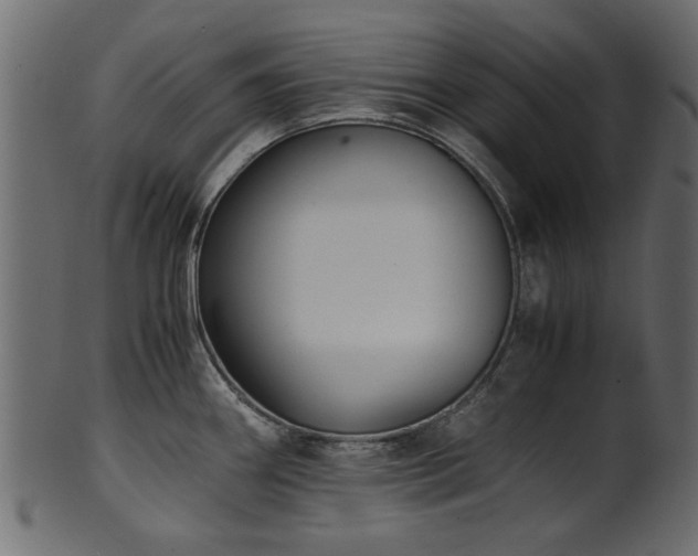 X0000102031290200807181341