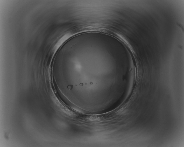 X0000102031291200807181341