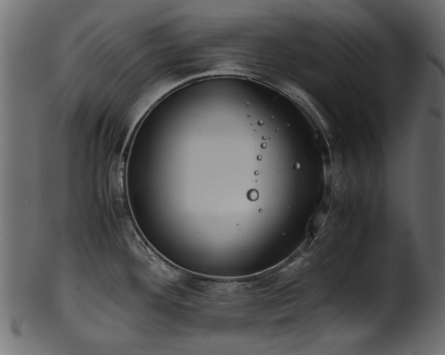 X0000102031292200807181341