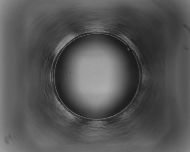 X0000102031293200807181341