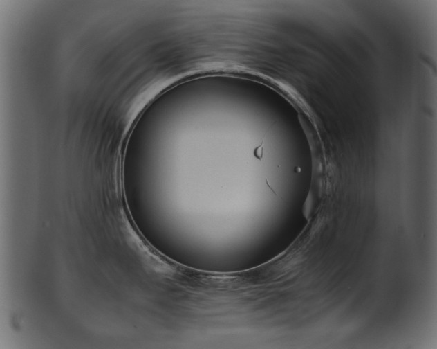 X0000102031295200807181341