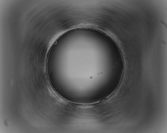 X0000102031296200807181341