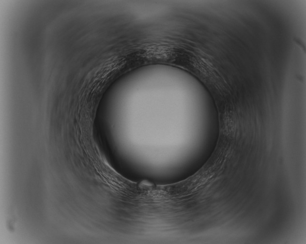 X0000102031297200807181340