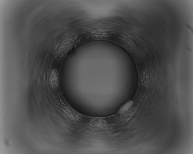 X0000102031298200807181340