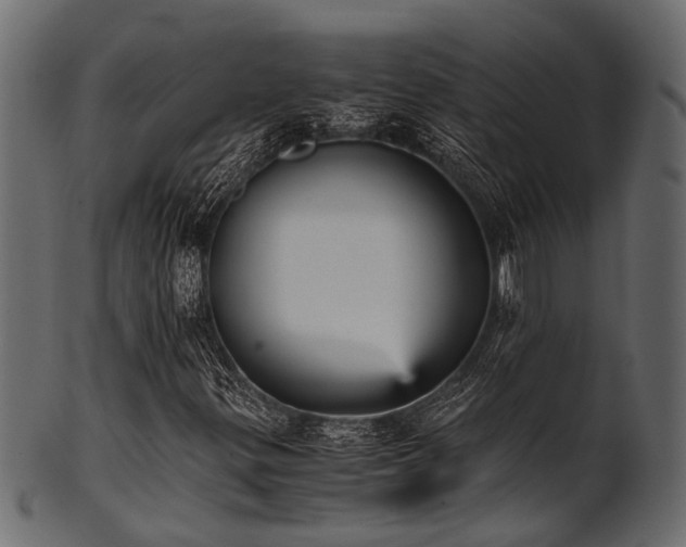 X0000102031299200807181340