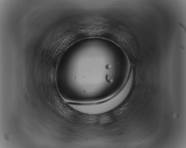 X0000102031300200807181340