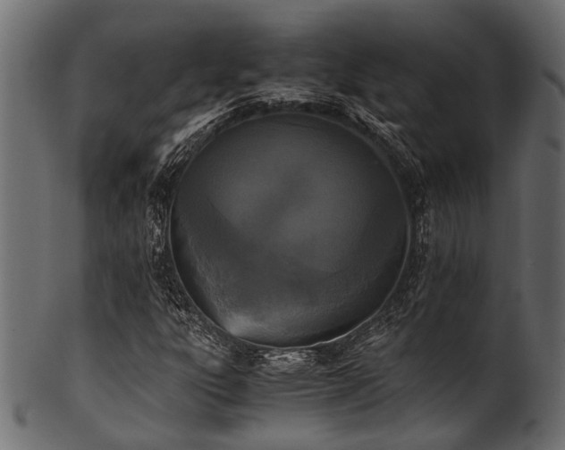 X0000102031303200807181340