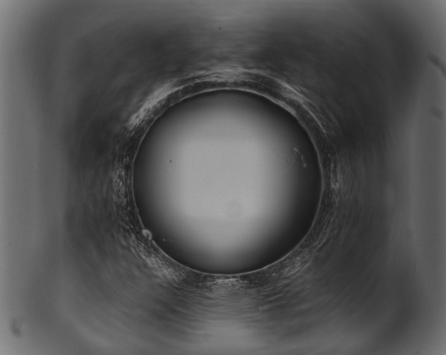 X0000102031304200807181340