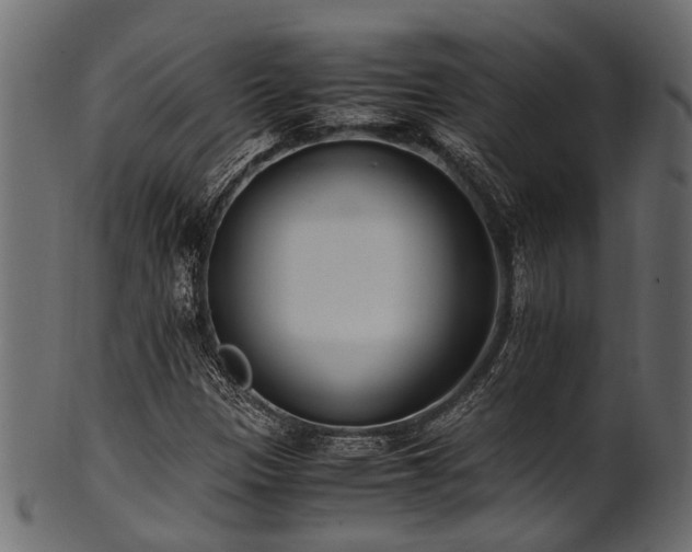 X0000102031305200807181340