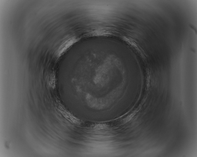 X0000102031306200807181340