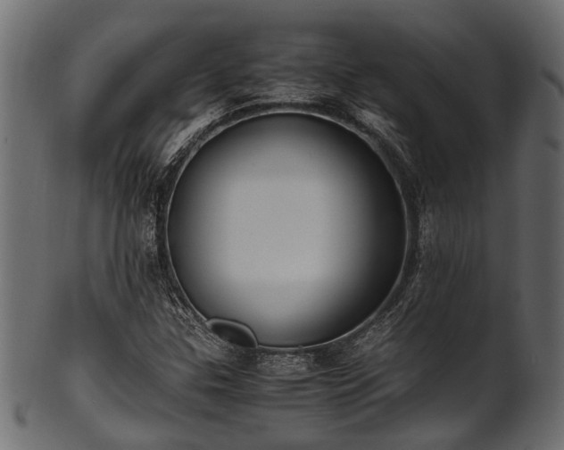 X0000102031307200807181340